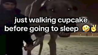 Scary Memes