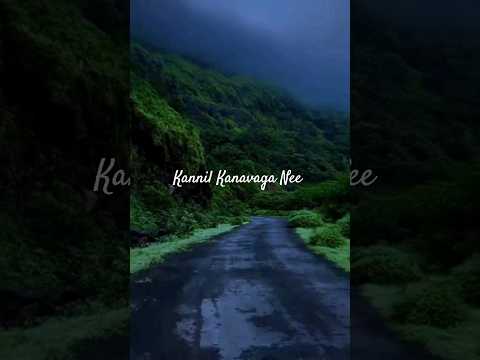 Kannil Kannavaga Nee| Nenjin Ezhuthu Tamil Lyrics| Top up song #whatsappstatus #tamilsong #trending