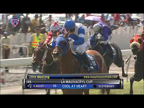 Winners of the day - 29th Meeting 2018 Season