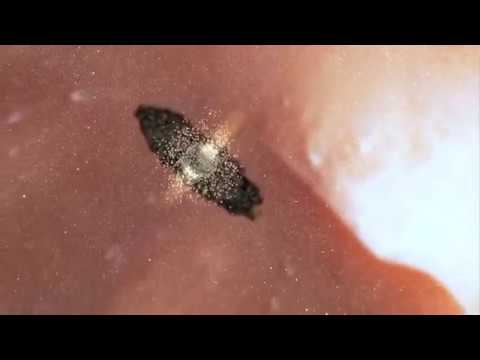 DOKU 2019 - Neue HEIMAT im UNIVERSUM | UNIVERSUM | DEUTSCH [HD]