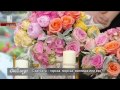 Новата булчинска мания – Eко Сватба Новата булчинска мания – Eко Сватба