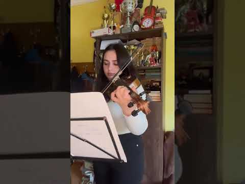 Stana Ioana Elena, anul 2 vioara, varsta 14 ani