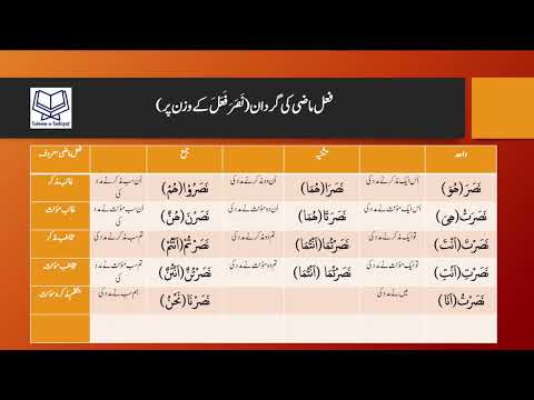 Arabic Grammar/fail mazi ki gardan nasara/فعل ماضی کی گردان نَصَرَ #failmazi