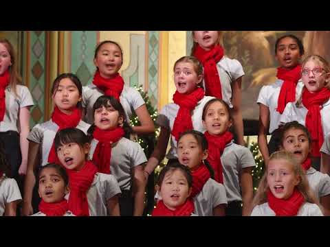 It Feels New, PinkZebra