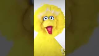 Big bird on drugs
