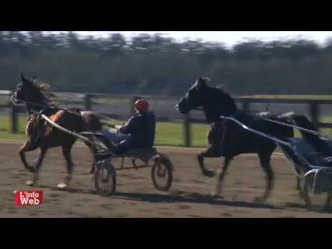 Carnet de Pistes - Voltigeur de Myrt  -R. Donati - Bouère - 23/01/17