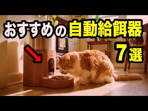 【超有料級】おすすめの猫の自動給餌器7選【さくら組限定ライブ公式切り抜き】