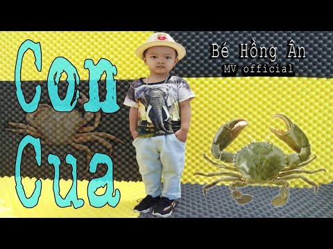 Con cua - Bé Hồng Ân