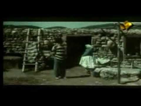رسائل شفهية