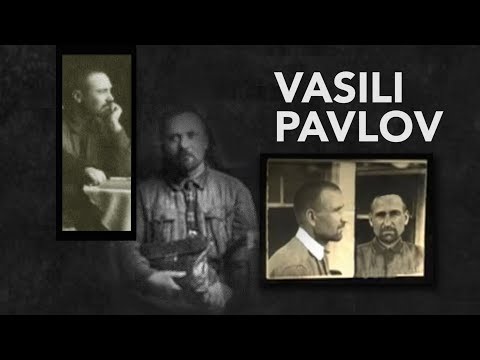Update on Vasili Pavlov