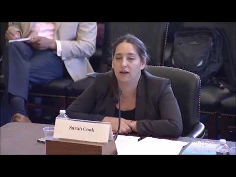 Sarah Cook Testimony China's Digital Authoritarianism