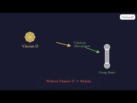 Vitamins and Deficiency Diseases