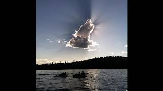 Amazing Animal Clouds