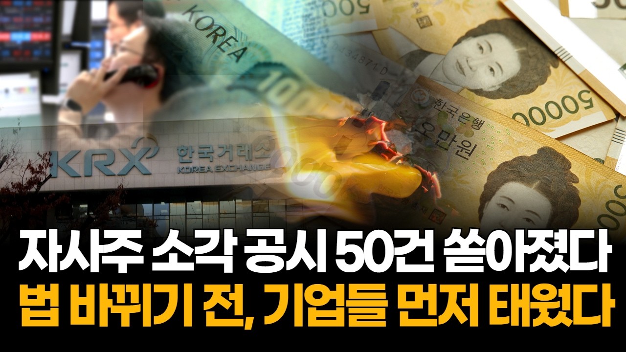 상법 개정 임박에 자사주 소각 폭주…이달 공시 50건