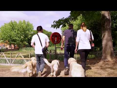 Our 2022 Dog Walking Bag Range | As Seen On Dragons' Den | Barking Bags