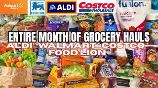 ENTIRE MONTH!! HUGE March Grocery Hauls | Everything We Bought at Aldi, Walmart, Costco, Food Lion