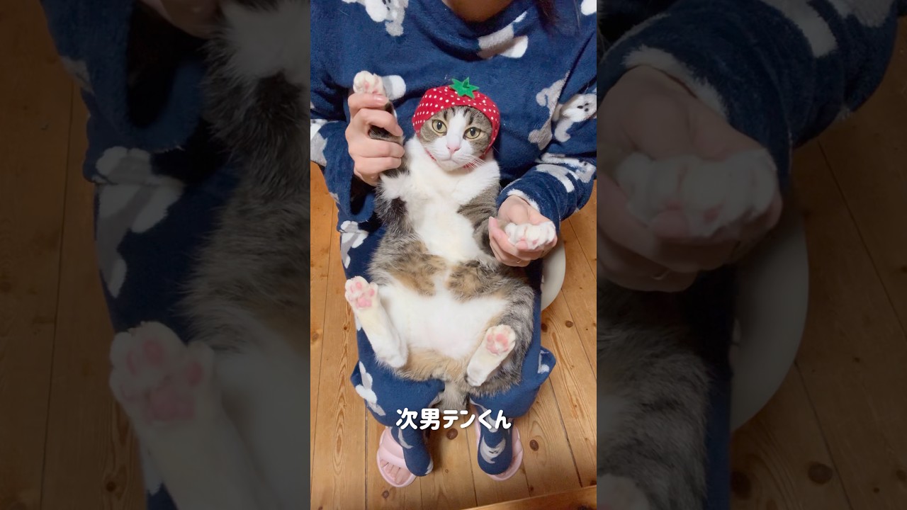 好きすぎて滅😻！