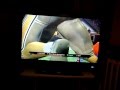 Blitz The League 2 Sick Injury