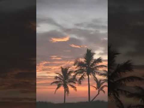 (FREE) Playboi Carti x Adrian type beat "4AM" #playboicartitypebeat