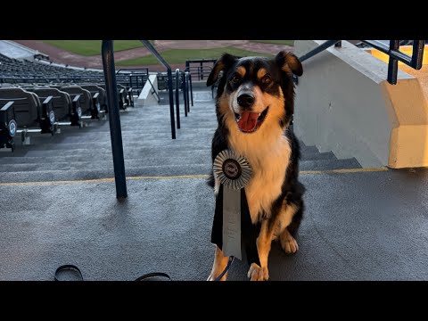 Maverick Elite Hoover AL