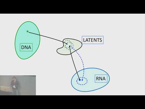 Reconciling Cancer Genotype and Phenotypes by Learning Structured Priors