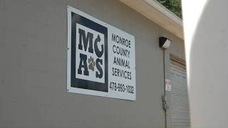 Animal control officer accused of burning dogs alive, case headed to Monroe County DA's office