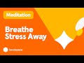 De Stress In 5 Minutes A Free Mind And Body Meditation With Elisha Mudly