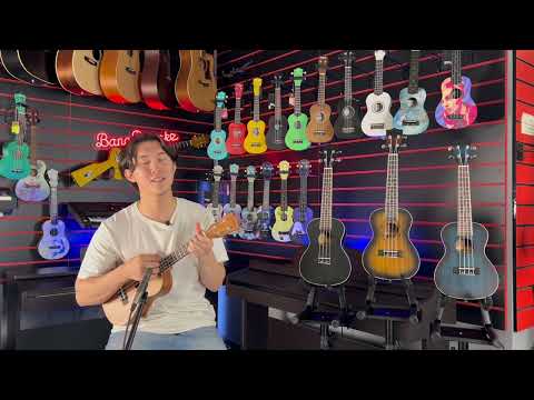  Levinson UTC 500 ОБЗОР