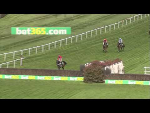 2016 bet 365 Celebration Chase - Sprinter Sacre - Racing TV
