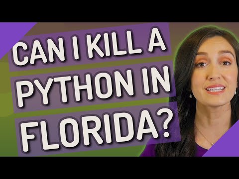 Can I kill a python in Florida?