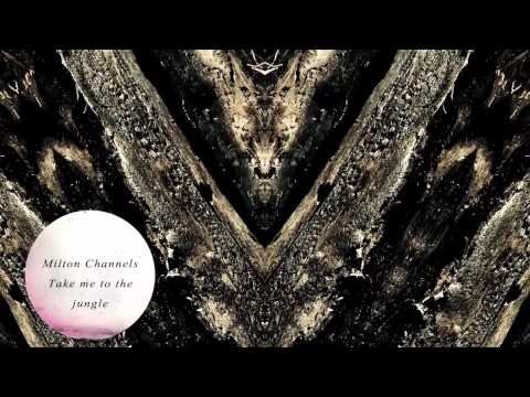 Milton Channels - Take me to the jungle ( Original mix )