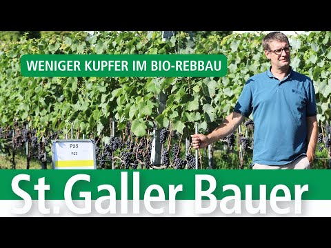 Bio-Weinbau: Erfahrungsaustausch über nachhaltigen Rebbau in Malans