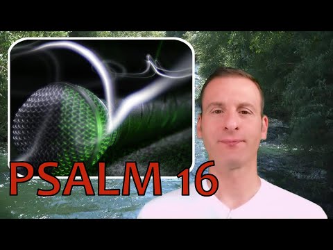 Psalm Chapter 16 Summary and What God Wants From Us