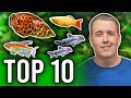 Best Fish For A Freshwater Planted Aquarium
