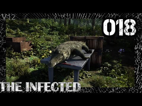 Infected (S7)V12 / 018 - Erstes Krokodilerlebnis