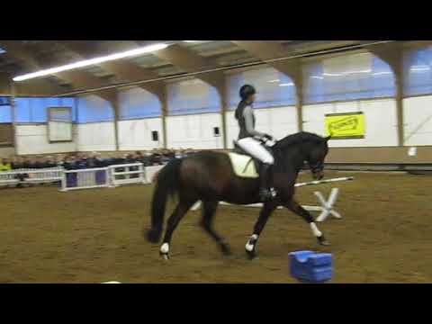 Bettina Hoy, Stangen- und Cavalettiarbeit, 1.2