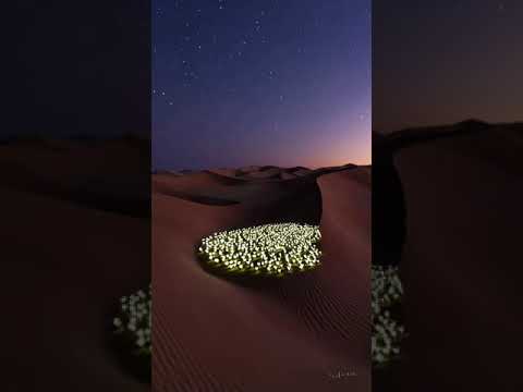 Timeless Blossoms: A Desert's Dream