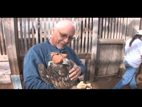 オクラホマ州アイオワ族 - グレイ・スノー・イーグル・ハウス (The Iowa Tribe of Oklahoma - The Grey Snow Eagle House)