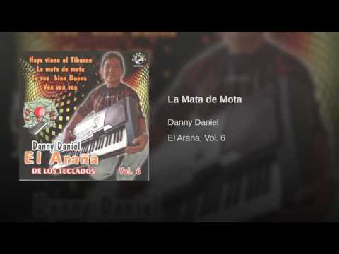 La Mata De Mota El Araña De Los Teclados