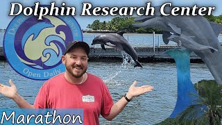 Science and Smiles: Dolphin Research Center Experience