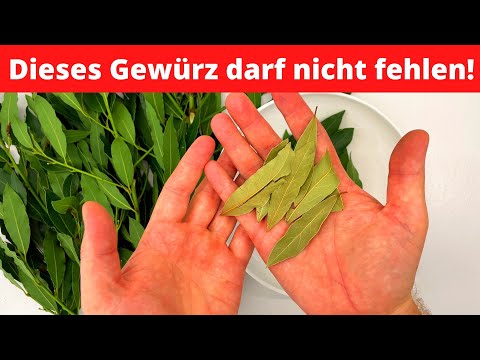 Dieses Gewürz sollte in keiner Küche fehlen! 😍
