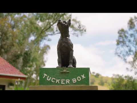 The Drive Way • Wagga Wagga to Gundagai + Cootamundra trail