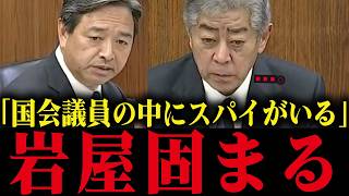 ※自民党の中にいるスパイが国会で暴かれる...親中議員顔面蒼白...【岩屋毅】