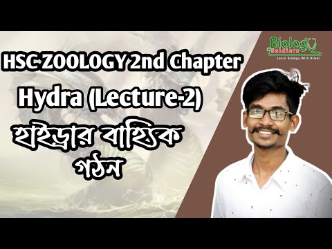 02. হাইড্রার বাহ্যিক গঠন|| HSC ZOOLOGY 2ND CHAPTER|| Hydra || Himel vaiya থাম্বনেইল