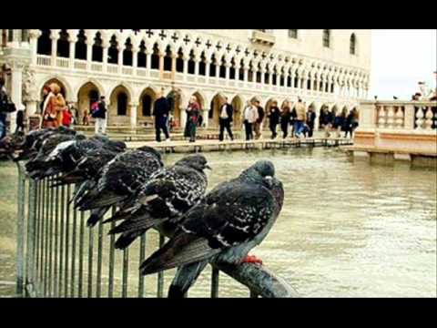 Fiorello - Il Piccione Veneziano (Viva Radio 2)