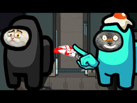 Hulusi ile Ortalığı Birbirine Kattık🤣😂 - Among Us /konuşan kediler