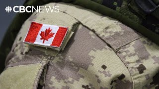 DND proposes mobilizing a citizens' army of 300,000. Here's what that could include