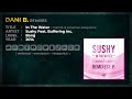 Sushy Feat. Buffering Inc. - In The Water / Dani B ...