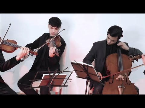 CCB hino 260  i n ú t e i s 