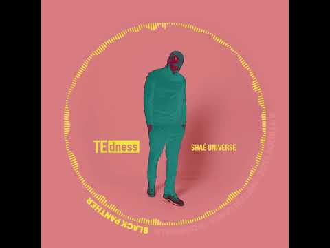 TE dness - Black Panther (feat. Shaé Universe)